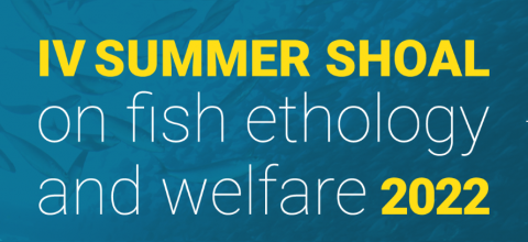 Este año FishEthoGroup Association vuelve a organizar el "SummerShoal"